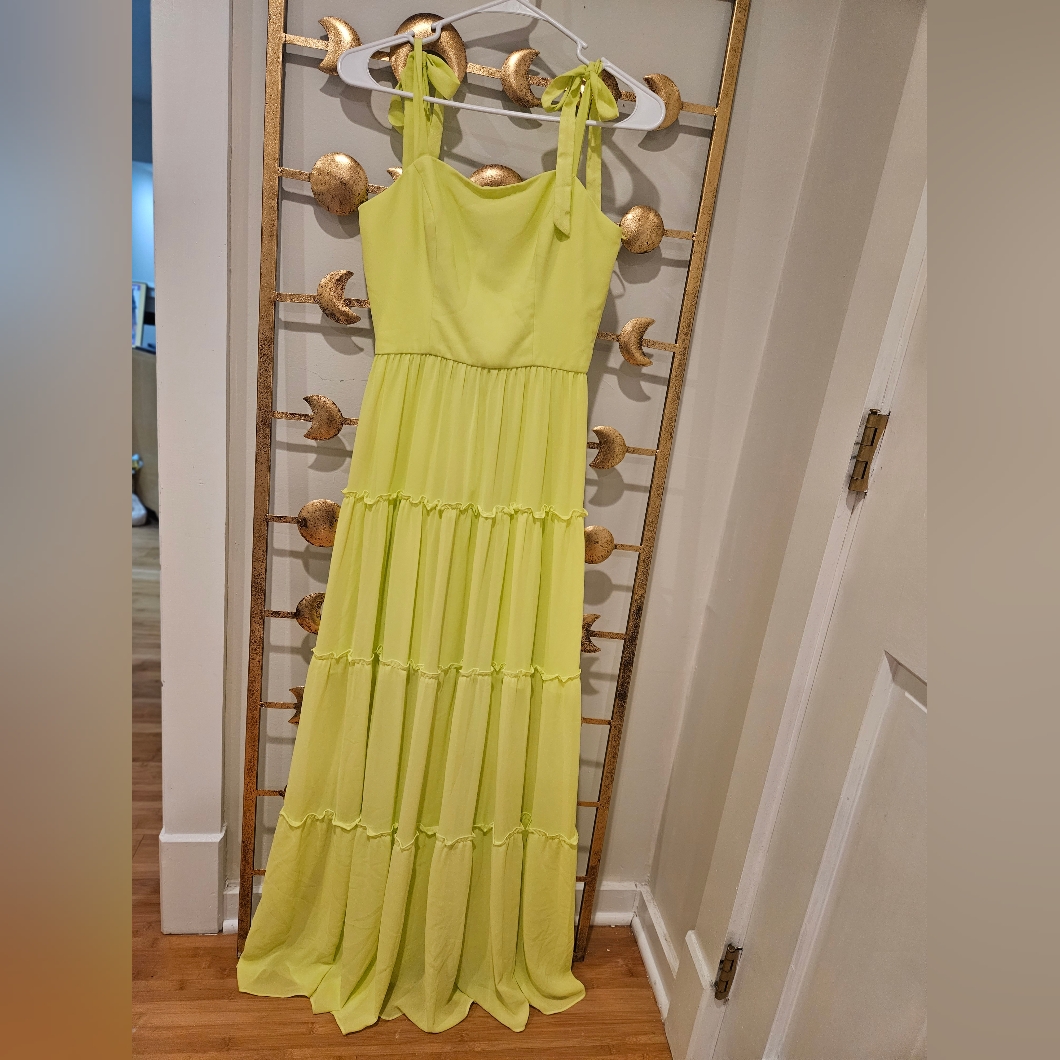 Brand New Dress The Population Maxi Dress